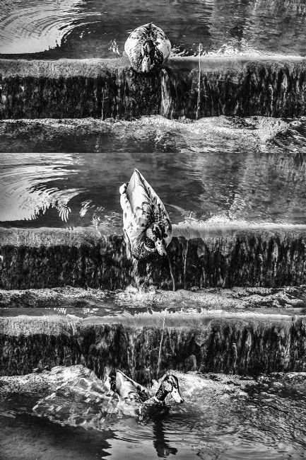 Theodore Crush | Upstairs, Dowstairs