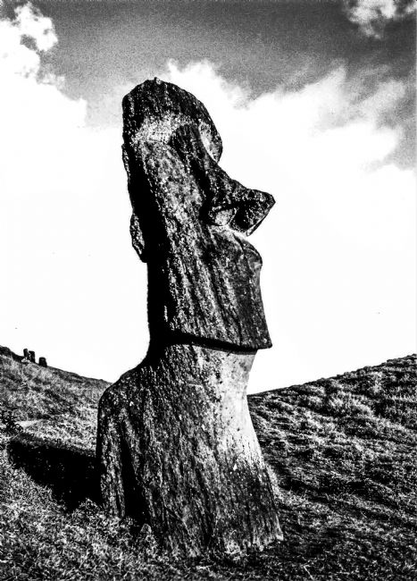 Theodore Crush | Ancient Moai