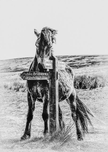 Theodore Crush | Scratchpost