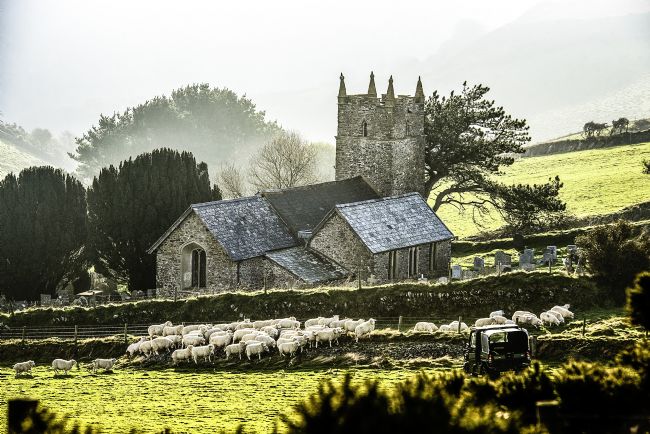 Theodore Crush | The good shepherd lays down his life for his sheep