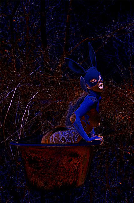 Theodore Crush | Neural Pathways Bunny