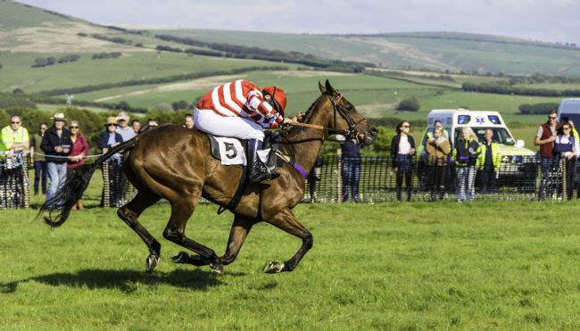 Theodore Crush | Flying