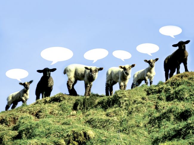 Theodore Crush | The Silence of the Lambs