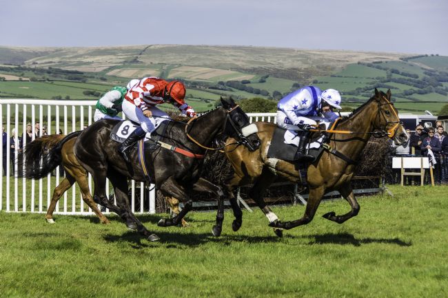 Theodore Crush | If you 8 to lose maybe remember the thrill of the race