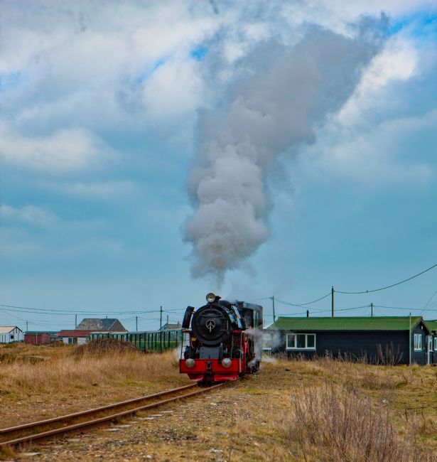 Tom Dolezal | Black Prince at Dungeness