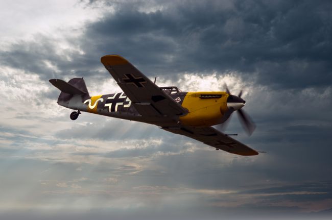 Tom Dolezal | Buchon
