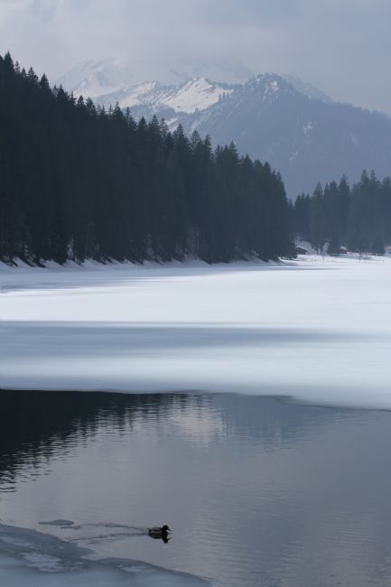 Kris Ohlsson | Lac De Montriond