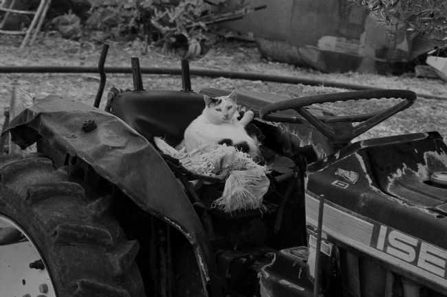 Kris Ohlsson | Move Over... Im Driving