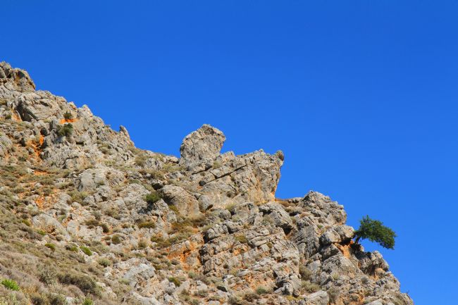 Kris Ohlsson | One Tough Son of a..