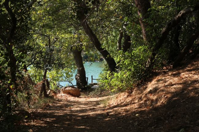 Kris Ohlsson | Down to the Lake