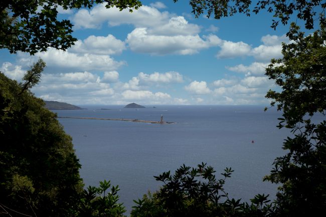 Kris Ohlsson | Plymouth Sound from the Trees