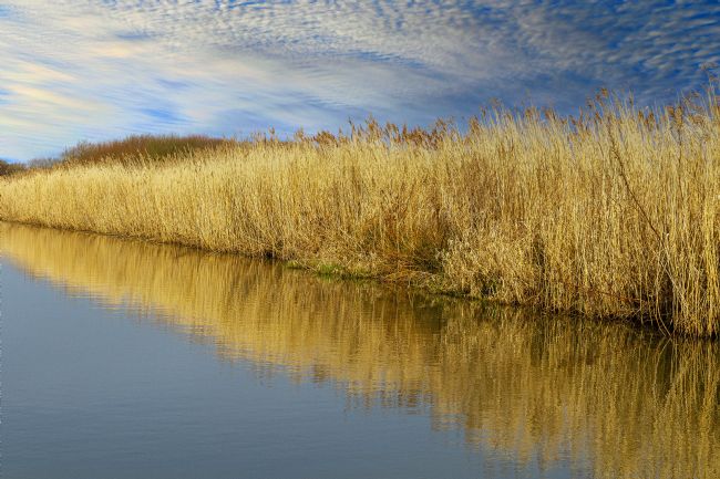 Kelvin Rumsby | Bude canal