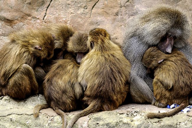 Kelvin Rumsby | tight family