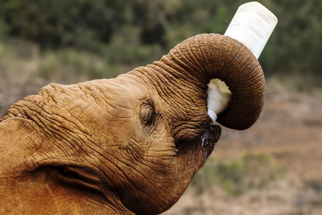 kelvin rumsby | self service