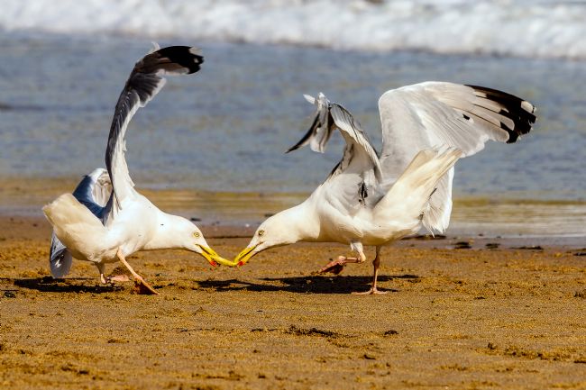 Kelvin Rumsby | Get off it's mine