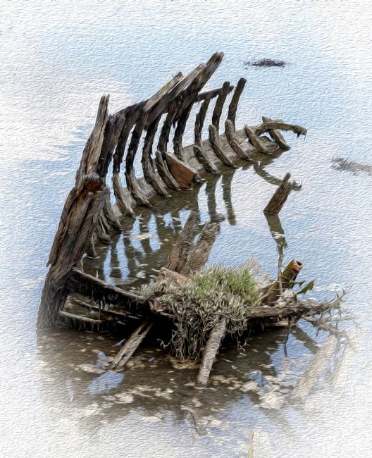 Roger Hollingsworth | Long Forgotton