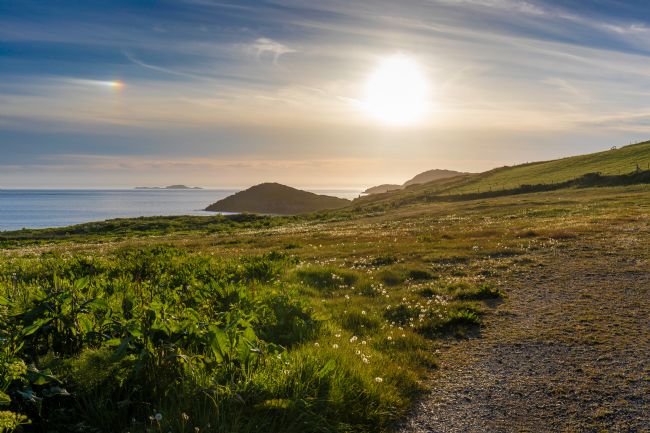 Roger Hollingsworth | Evening walk dowm to Whitesands Bay
