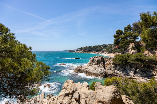 Roger Hollingsworth | Playa Cala de la Roca de Paller