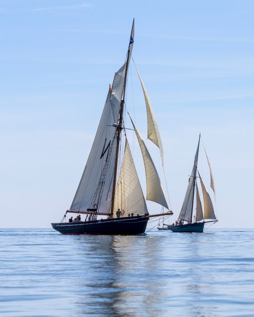 Roger Hollingsworth | Mascotte (foreground) competing in Falmouth Classics 2014.