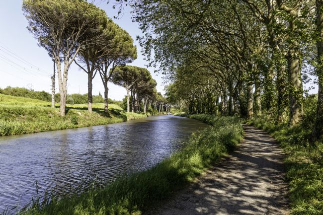Roger Hollingsworth | Canal du Midi