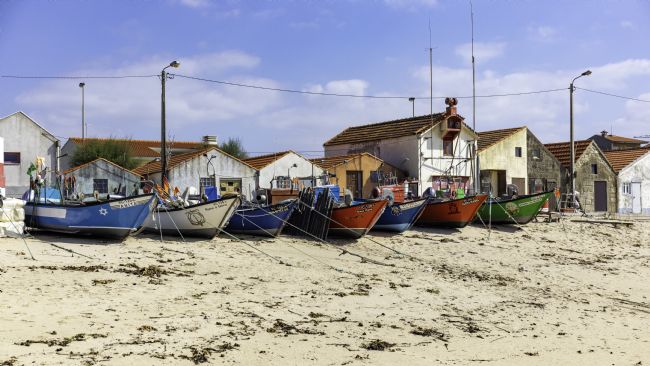 Roger Hollingsworth | Vila Cha, Poto, Portugal