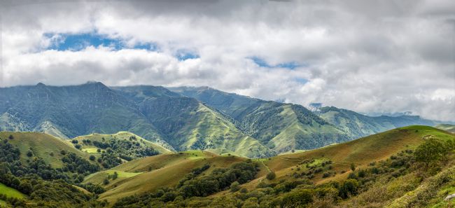 Roger Hollingsworth | Pyrenees Foothills