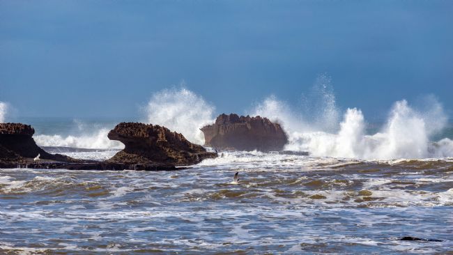 Roger Hollingsworth | Essaouira sea front, Morocco