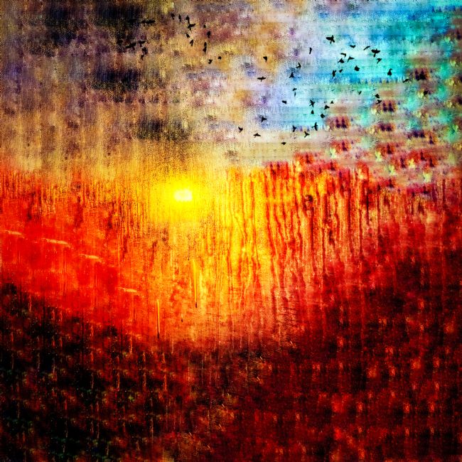 Martin Hulbert | Sunrise