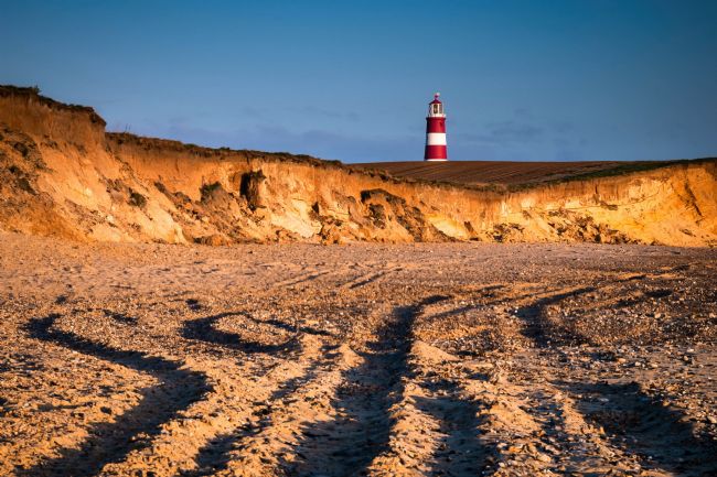 David Powley | Morning Light on Happisburgh Beach