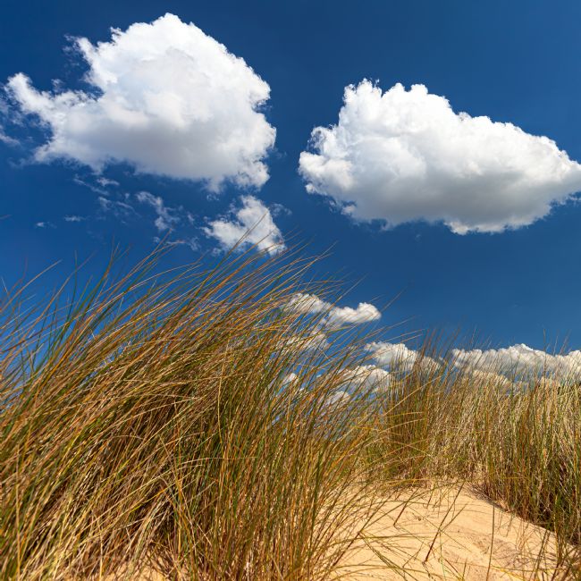 David Powley | Clouds above the sand dunes