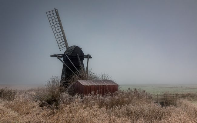 David Powley | Winter Morning at Herringfleet Mill