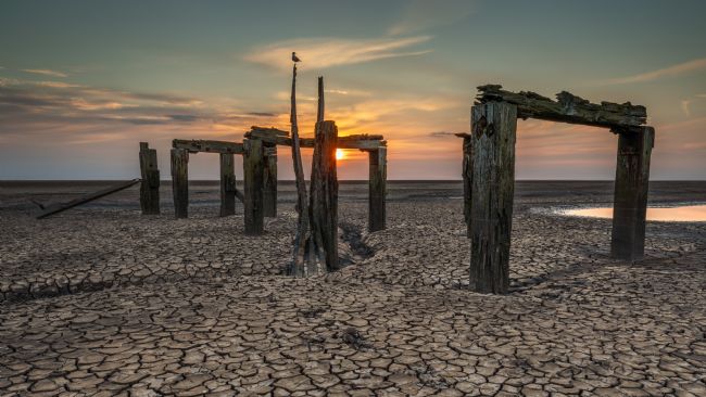 David Powley | Snettisham Old Jetty at Sunset