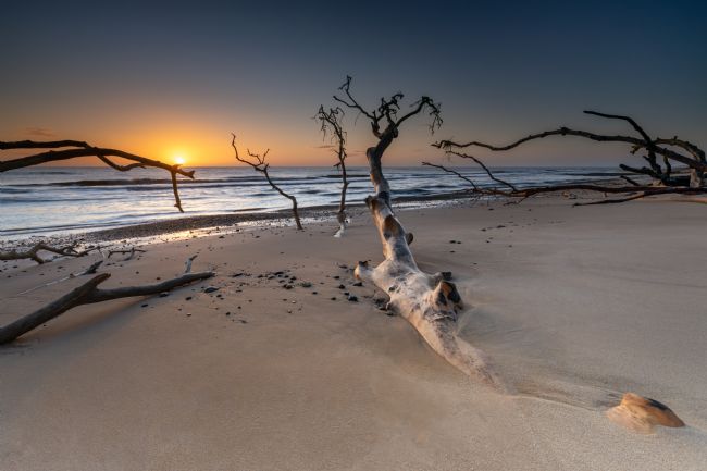 David Powley | Benacre Beach Sunrise