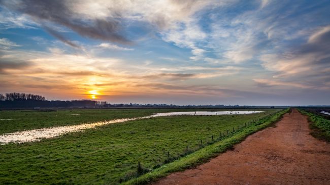 David Powley | Norfolk Coastal Path at Thornham