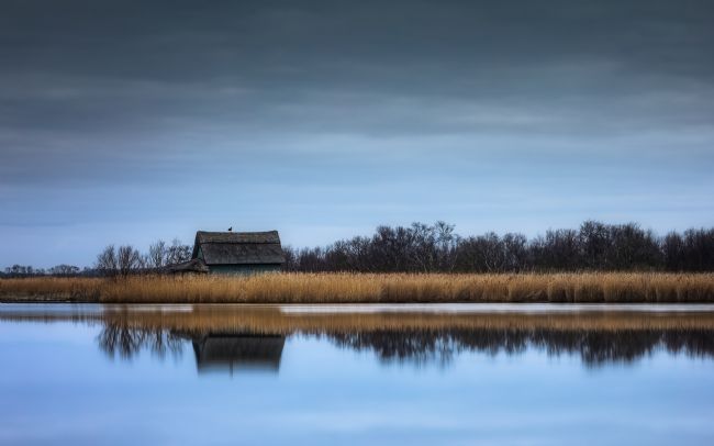David Powley | Early Morning Reflections on Horsey Mere
