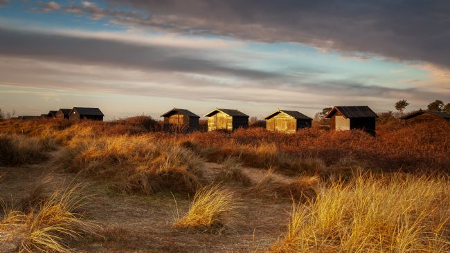 David Powley | Walberswick Beach Huts At Dawn
