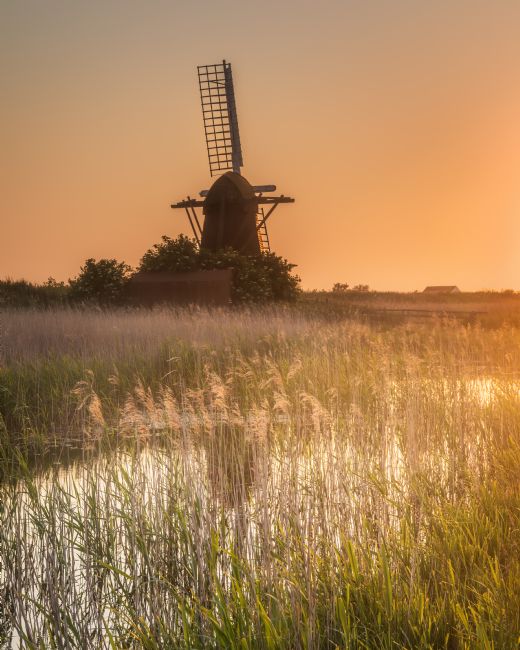 David Powley | Evening Light At Herringfleet Mill