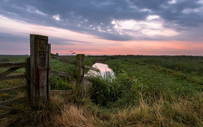 David Powley | Dawn on Halvergate Marshes Norfolk