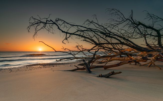 David Powley | Sunrise on Benacre Beach Suffolk