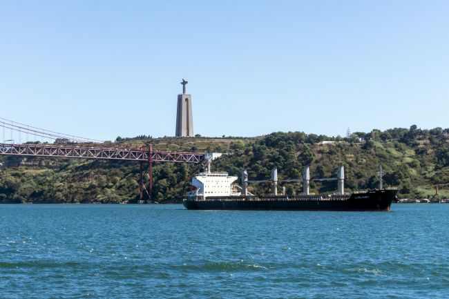 Mary Fletcher | Ultra Handy 