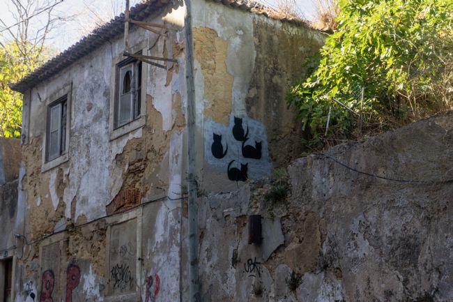 Mary Fletcher | Four Cats House