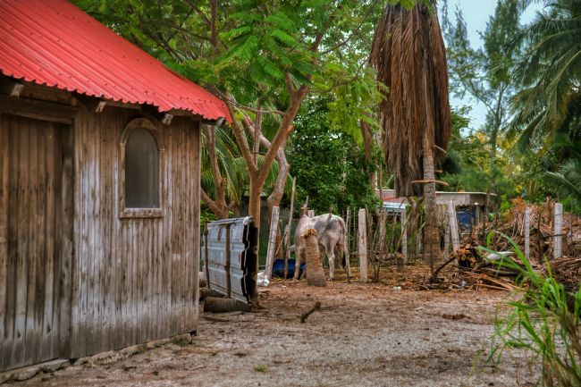 Chris Langley | Welcome to my barrio!