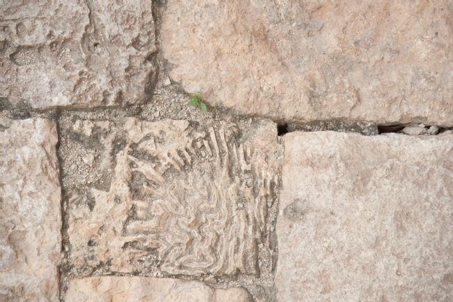 Chris Langley | Hacienda Mucuyche ruins, Merida, Yucatan, Mexico, Mayan  inclusions