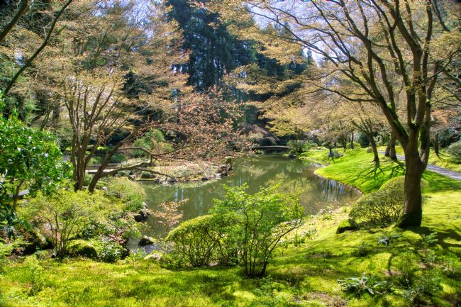 Chris Langley | Lake at Nitobe Memorial Japanese Garden, Vancouver