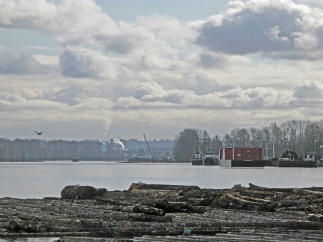 Chris Langley | Early winter morning on the Fraser River, Vancouver