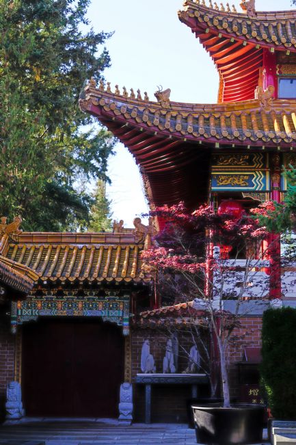 Chris Langley | Chinese International Buddhist Temple, Richmond, BC