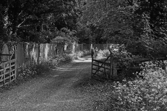 Chris Langley | A Country Walk near Swyncombe,Oxfordshire - monochrome