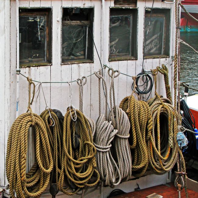 Chris Langley | Working Tug and Ropes, Nyhavn, Copenhagen