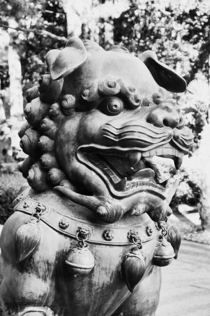 Chris Langley | Chinese International Buddhist Temple, Richmond BC