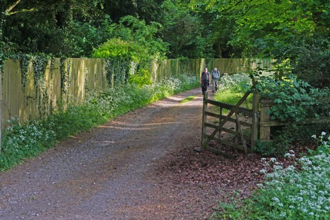 Chris Langley | A Country Walk near Swyncombe,Oxfordshire